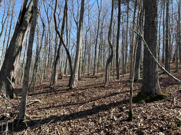 $34,900 | 0 Poplar Springs Road, Savannah, TN 38372