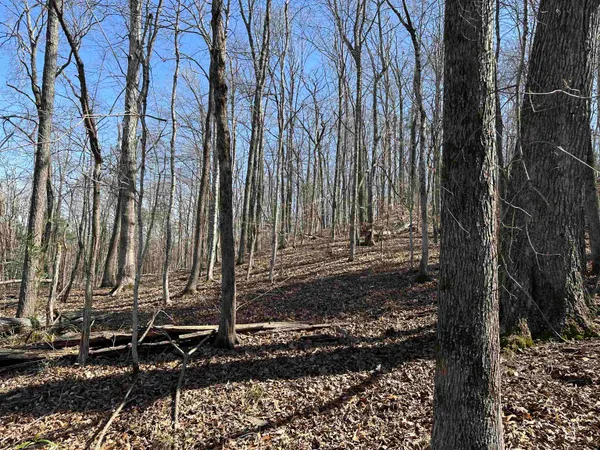 $34,900 | 0 Poplar Springs Road, Savannah, TN 38372