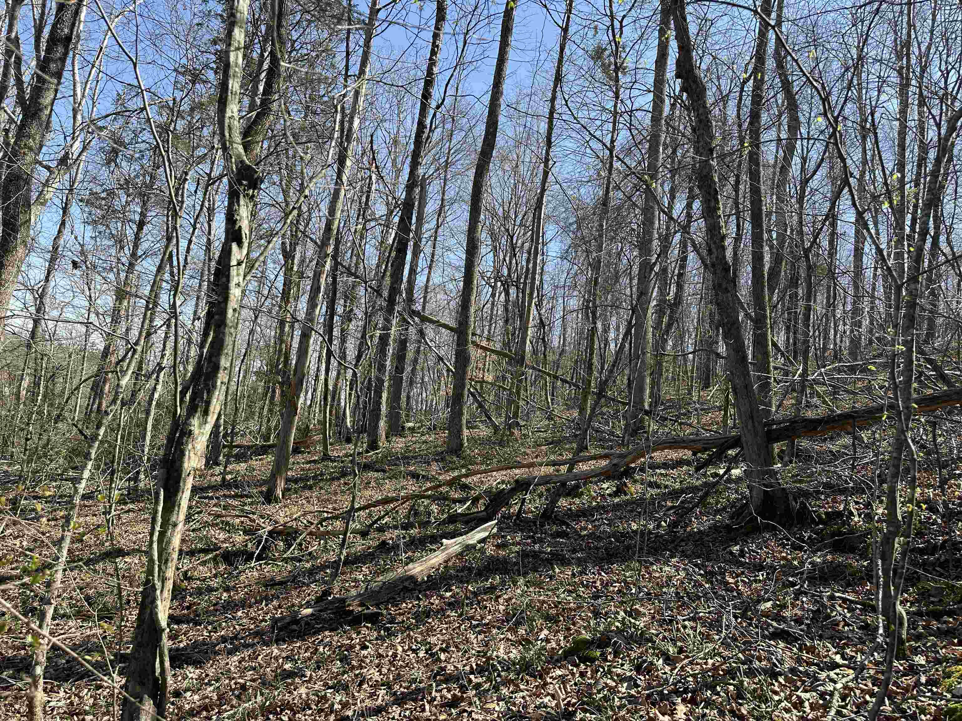 0 Poplar Springs Road Savannah, TN 38372 - Photo 6 of 16