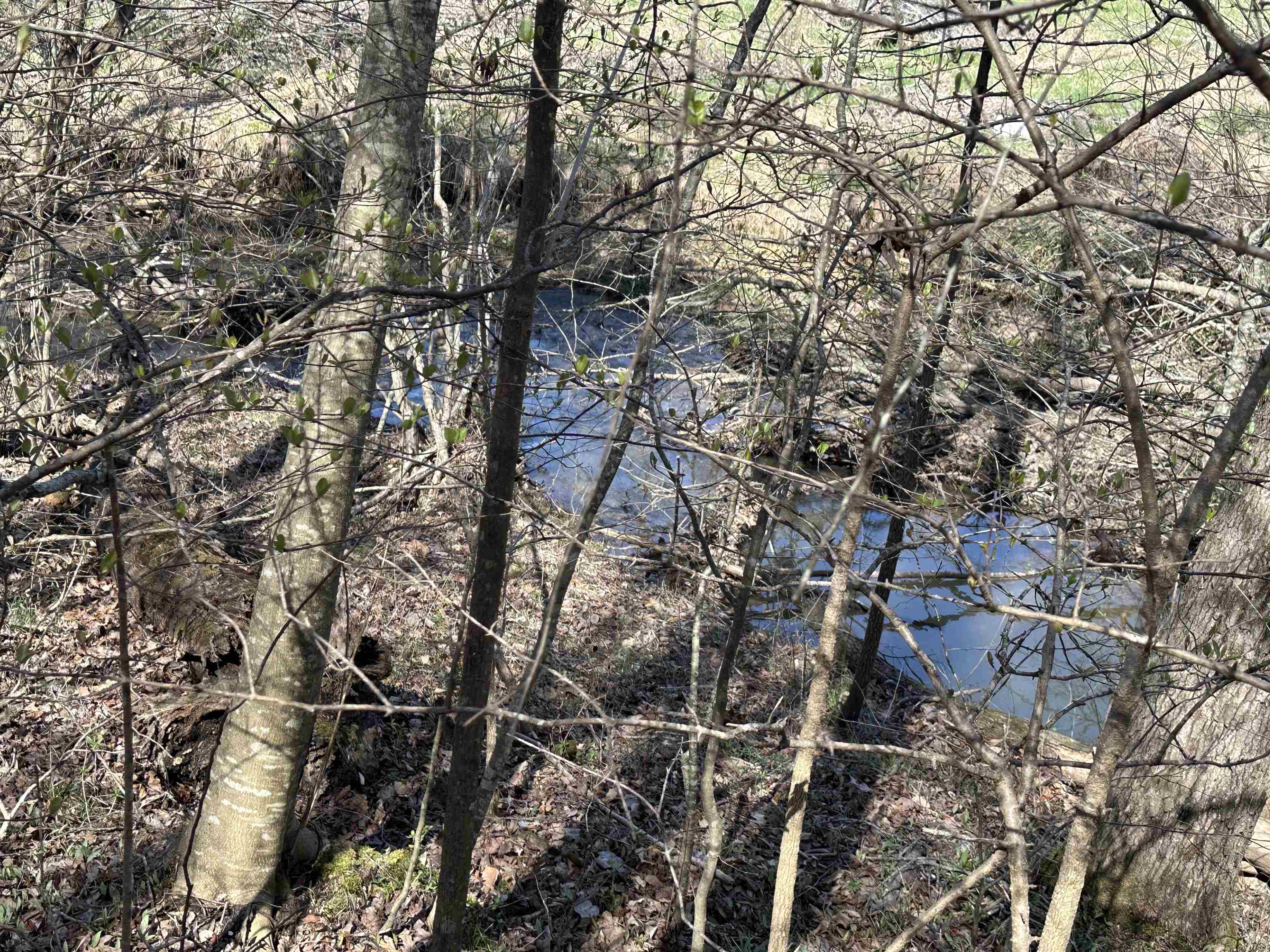 0 Poplar Springs Road Savannah, TN 38372 - Photo 7 of 16