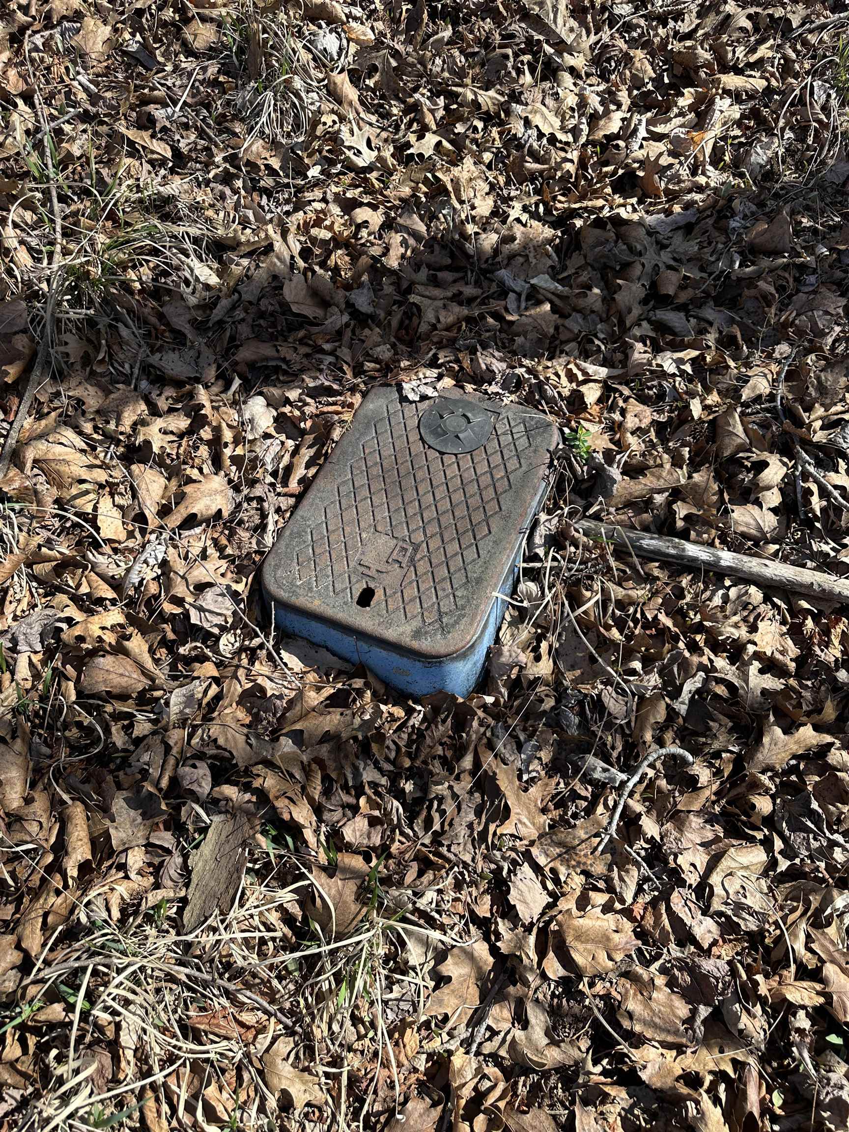 0 Poplar Springs Road Savannah, TN 38372 - Photo 8 of 16