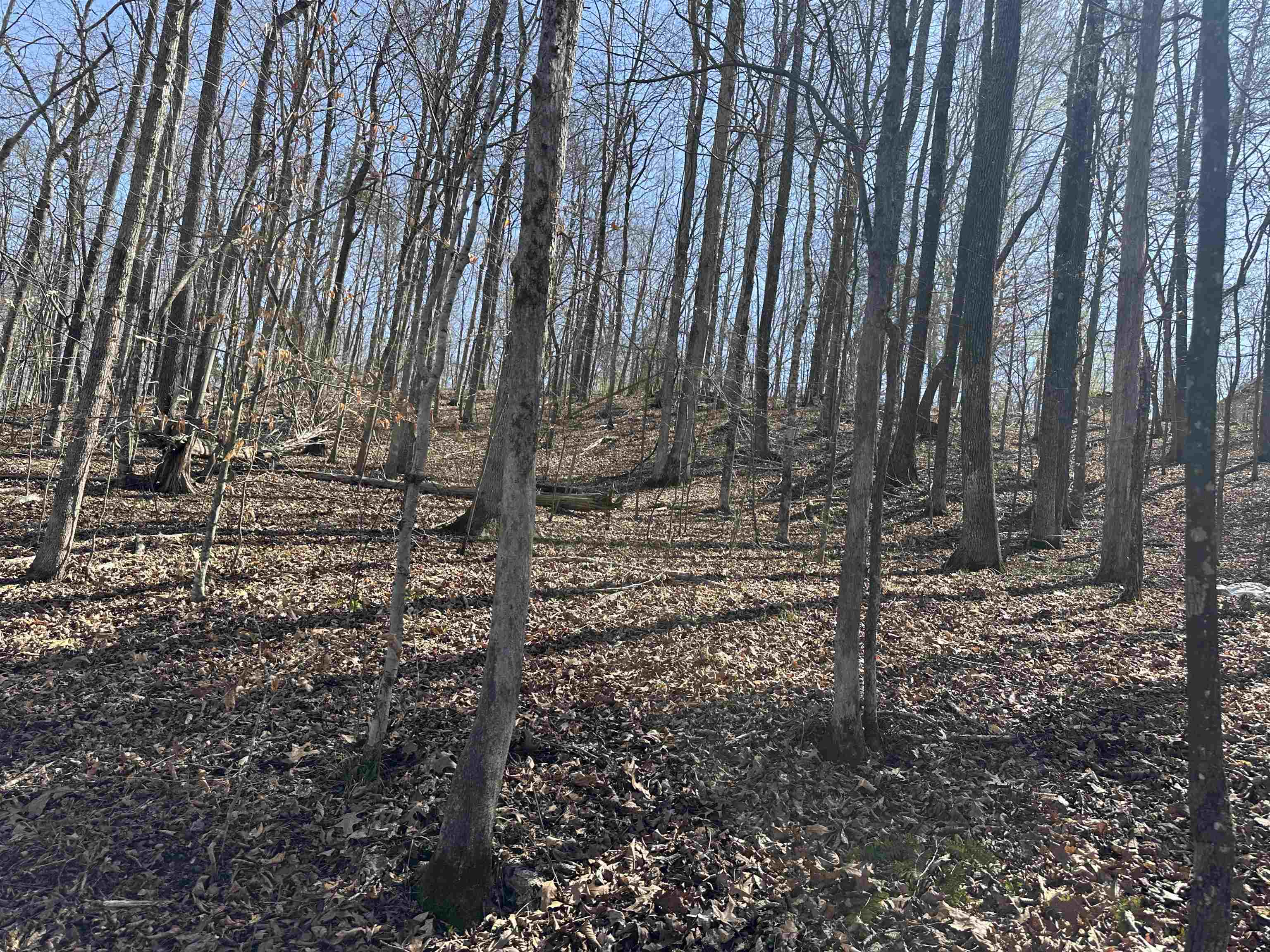 0 Poplar Springs Road Savannah, TN 38372 - Photo 10 of 16