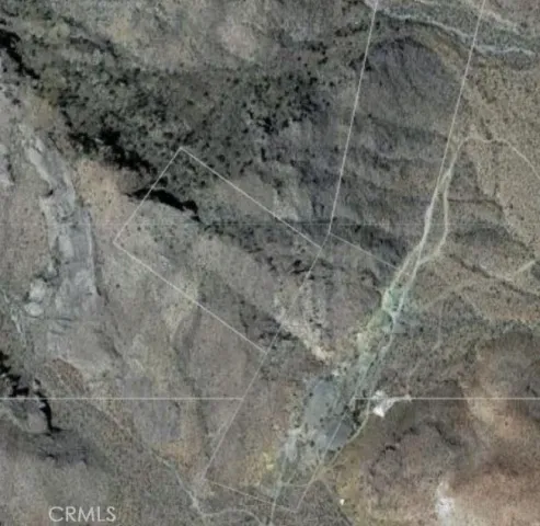 view of a dry yard with green space