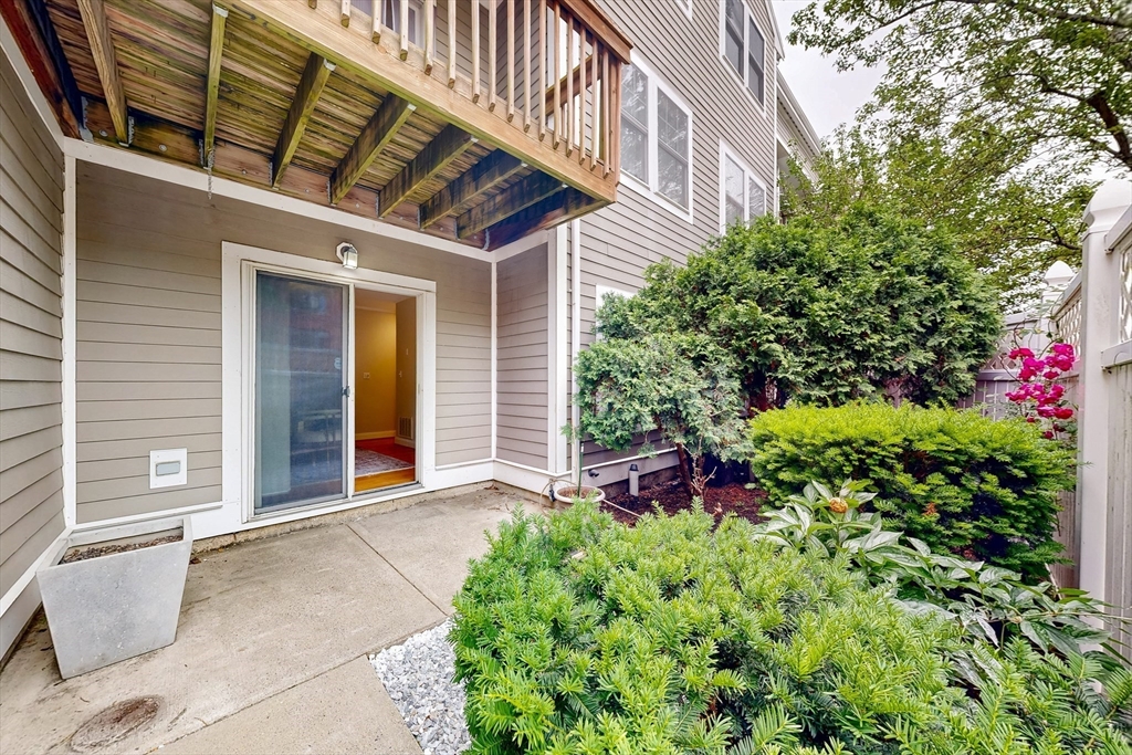 111 West 8th Street, Unit C Boston, MA 02127 - Photo 20 of 22 a view of a house with potted plants