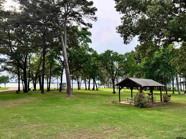 a view of a park with large trees