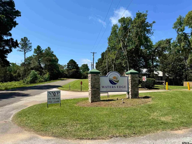 a view of a park with large trees