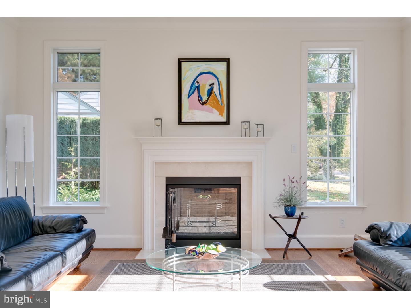 507 Fairview Road Penn Valley, PA 19072 - Photo 3 of 17 Living Room