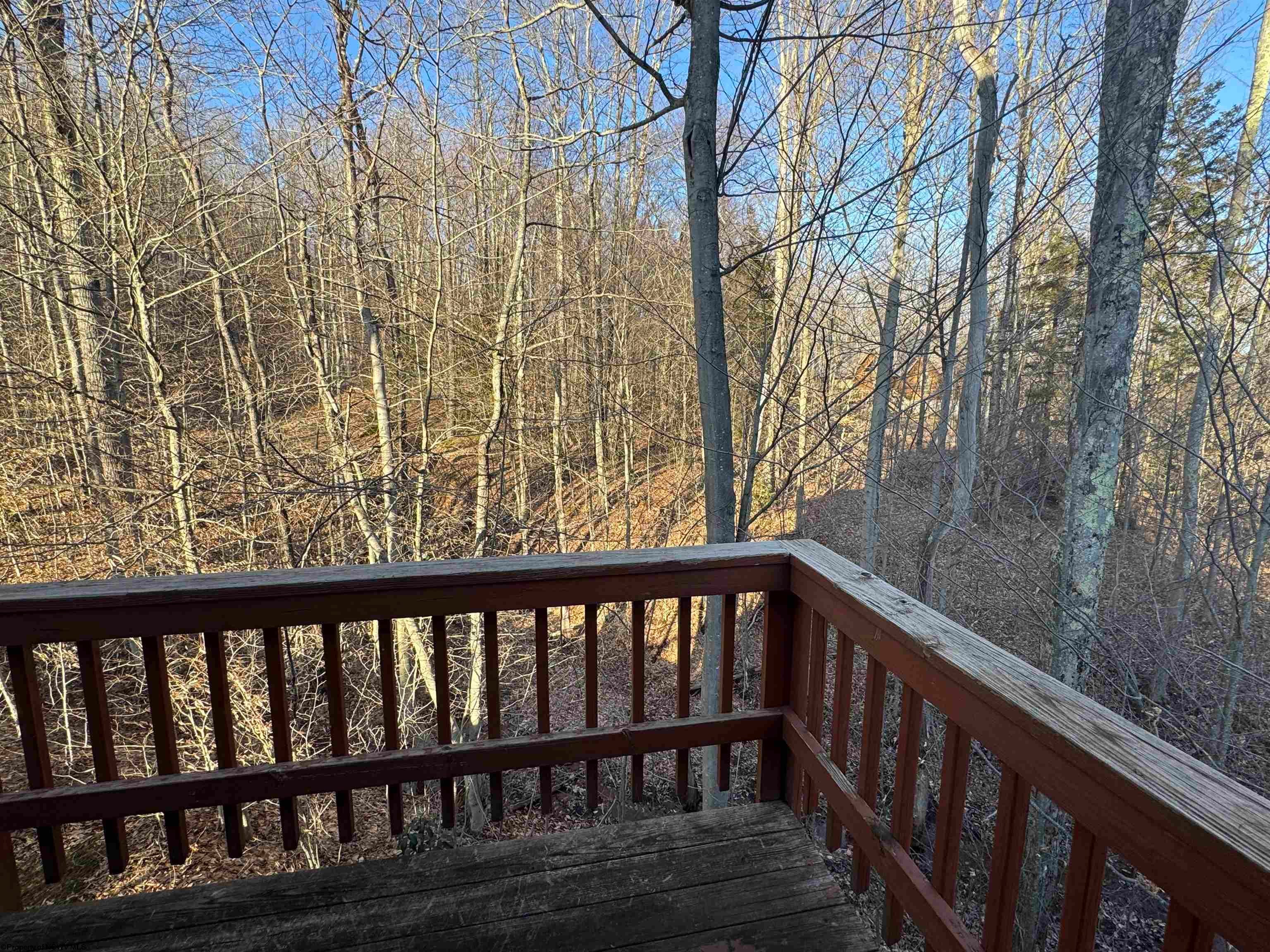 70 Northpoint Way Davis, WV 26260 - Photo 30 of 30 Gallery Image 30