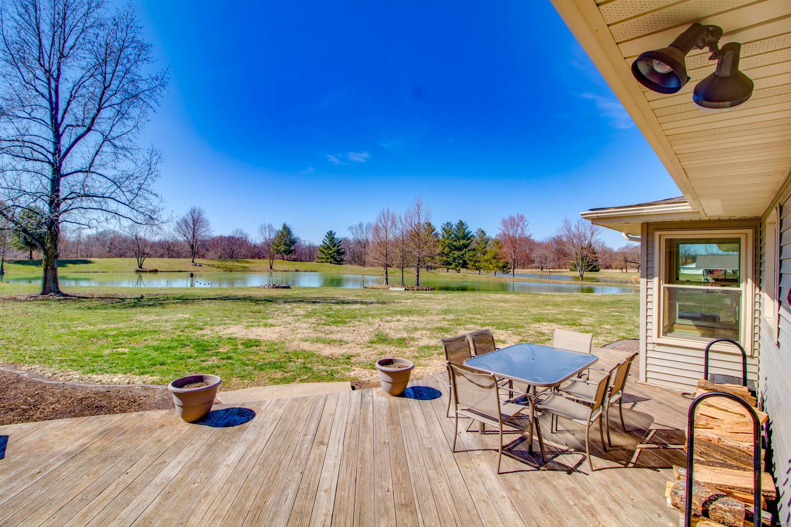 8729 Old Moro Road Dorsey, IL 62021 - Photo 25 of 64