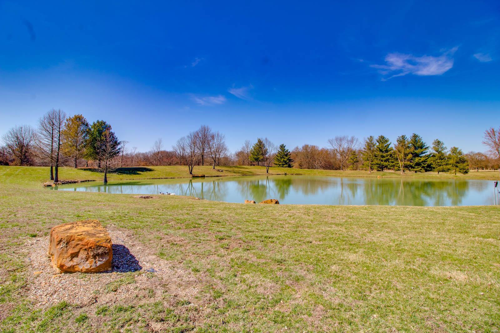 8729 Old Moro Road Dorsey, IL 62021 - Photo 30 of 64