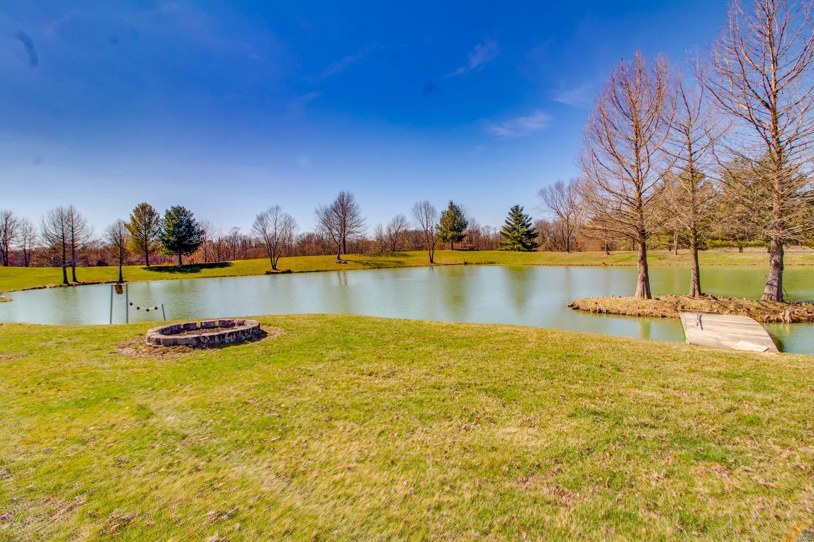 8729 Old Moro Road Dorsey, IL 62021 - Photo 33 of 64