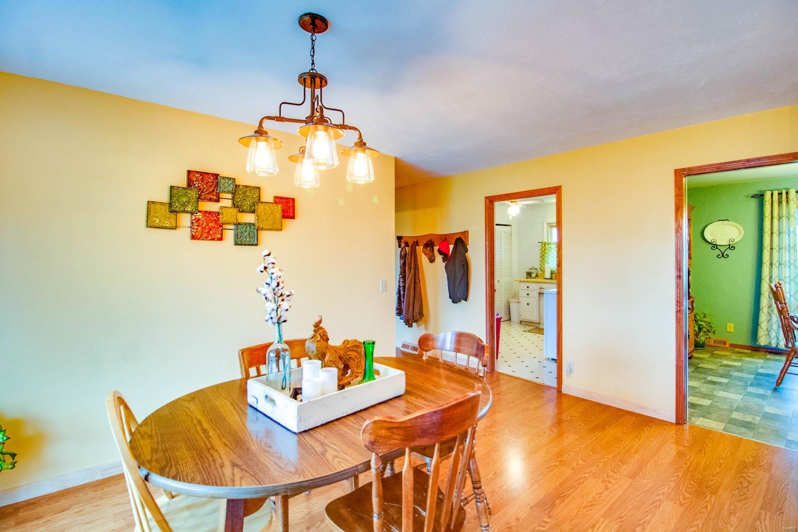 8729 Old Moro Road Dorsey, IL 62021 - Photo 45 of 64