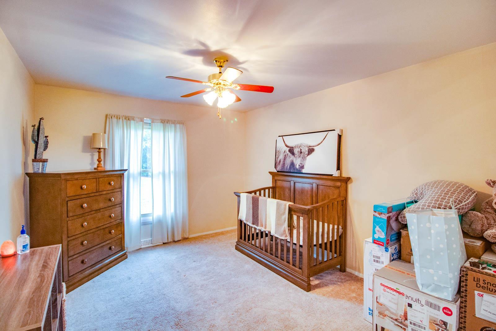8729 Old Moro Road Dorsey, IL 62021 - Photo 57 of 64