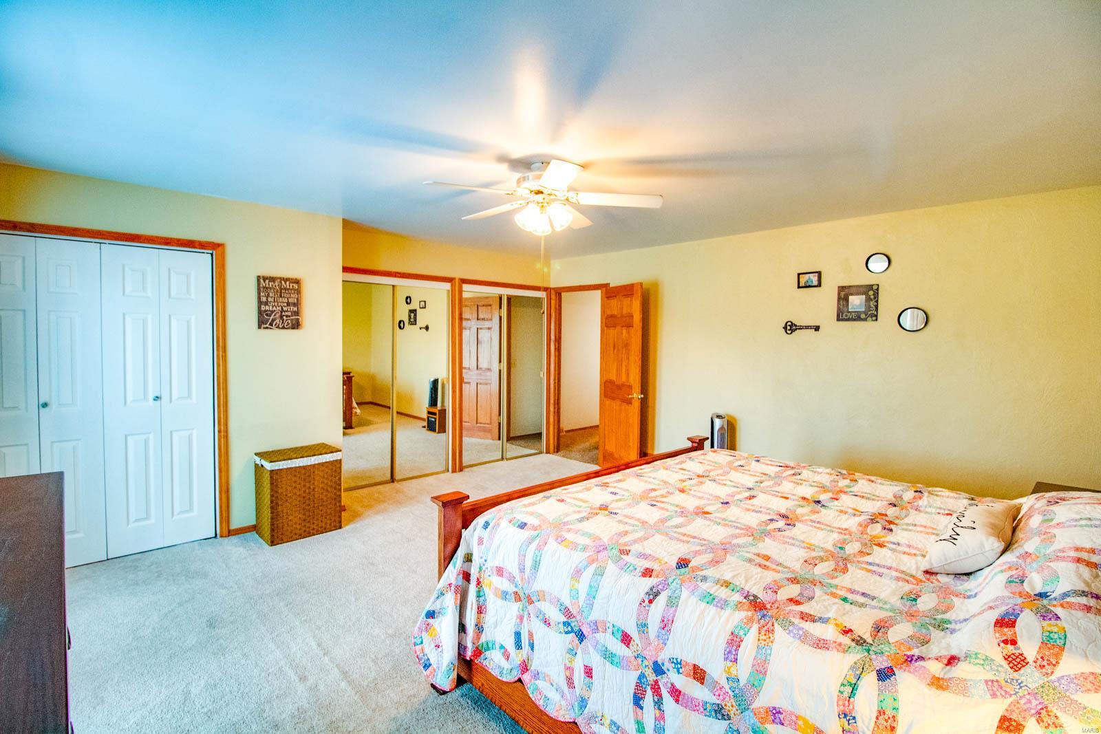 8729 Old Moro Road Dorsey, IL 62021 - Photo 61 of 64