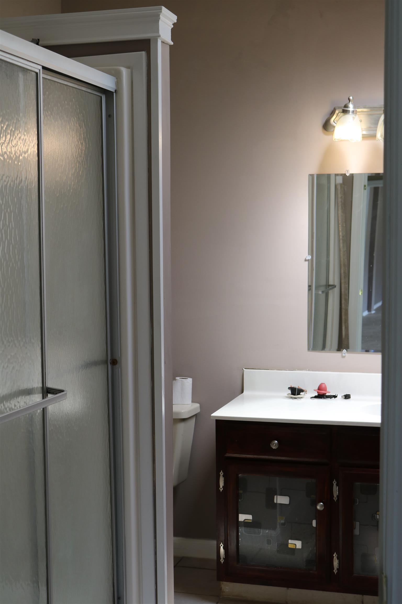 3630 Beasleys Bend Road Lebanon, TN 37087 - Photo 7 of 12 a bathroom with a sink and a mirror