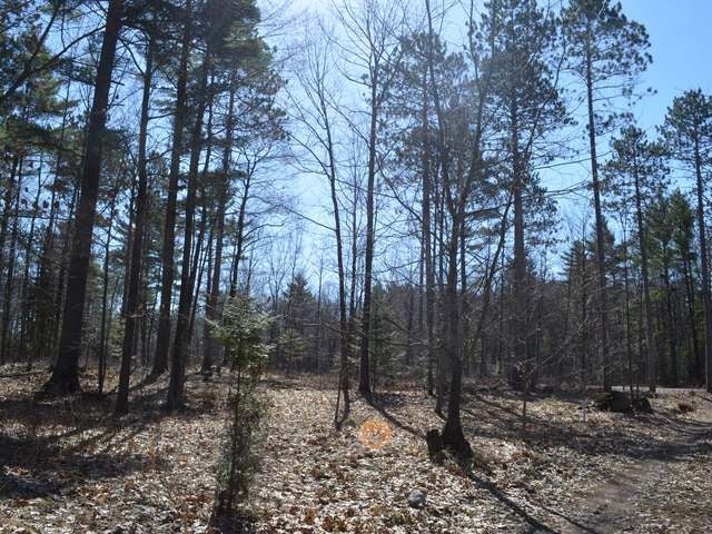 W5456 Koth Road Tomahawk, WI 54487 - Photo 20 of 20 Gallery Image 20