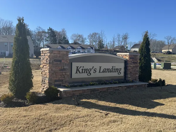 a view of a park with trees