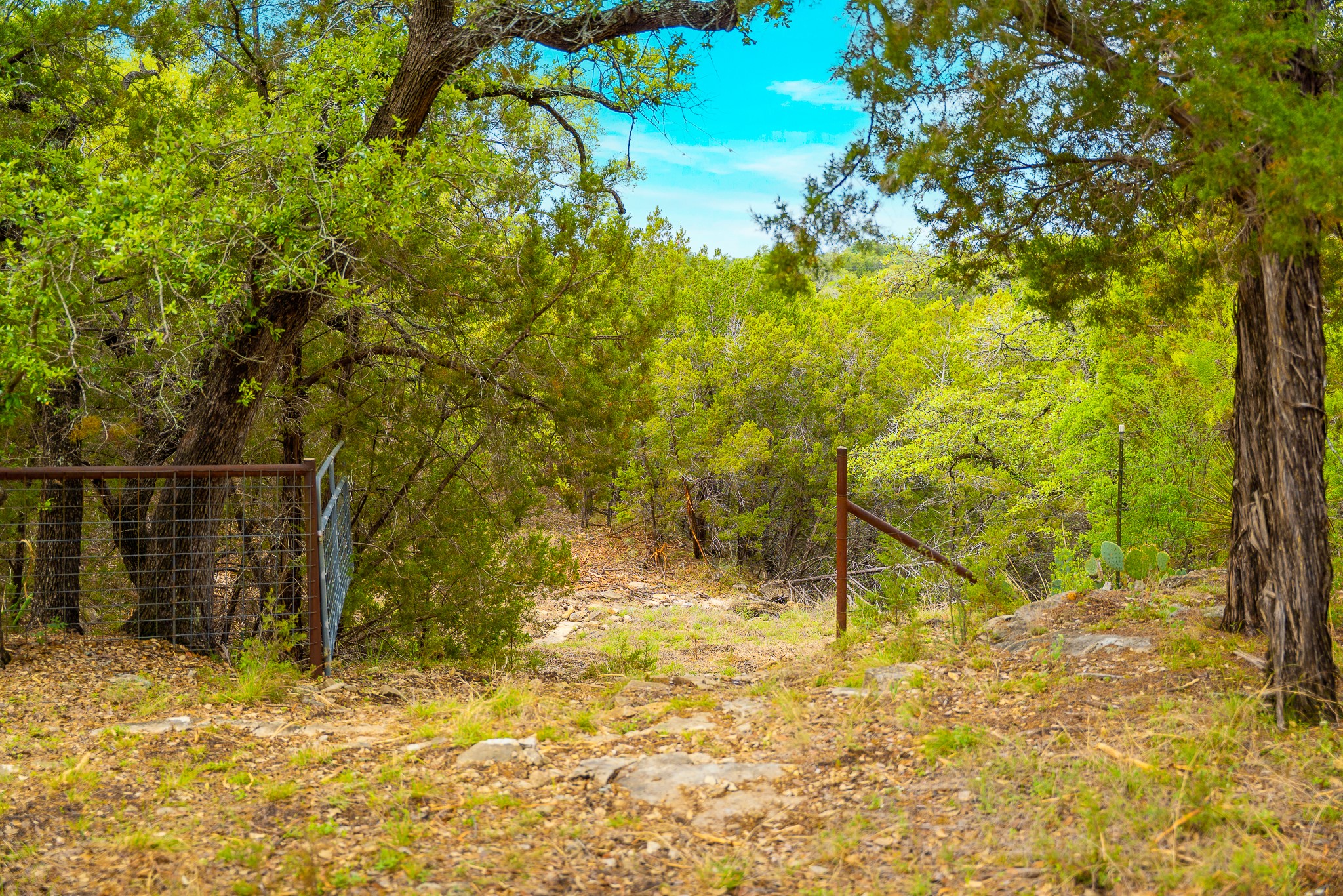 28205 Turner Ranch Road Marble Falls, TX 78654 - Photo 22 of 39 a view of a backyard