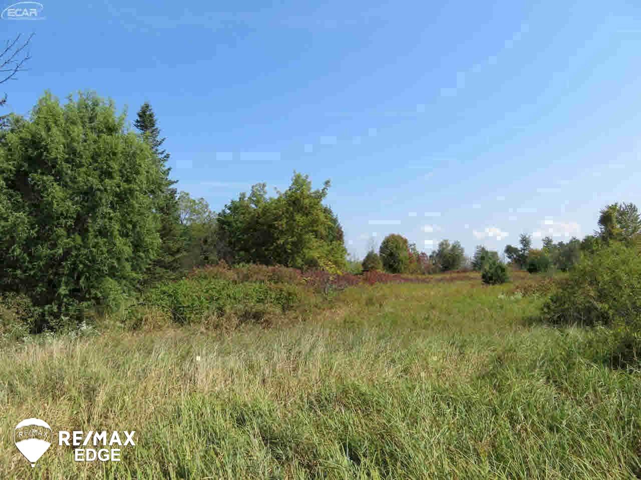 10388 North Oak Road Otisville, MI 48463 - Photo 3 of 21 Gallery Image 3