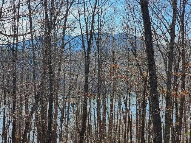 a view of yard covered with trees