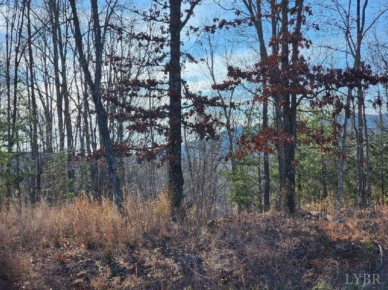 7 Robin Ridge Court Pittsville, VA 24139 - Photo 11 of 17 a view of a forest