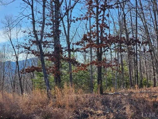 a view of a trees with a tree