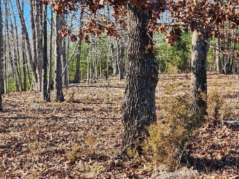 7 Robin Ridge Court Pittsville, VA 24139 - Photo 13 of 17 a view of a trees with a tree
