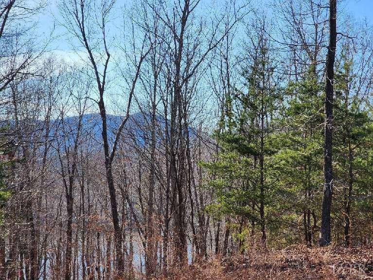 7 Robin Ridge Court Pittsville, VA 24139 - Photo 15 of 17 Gallery Image 15