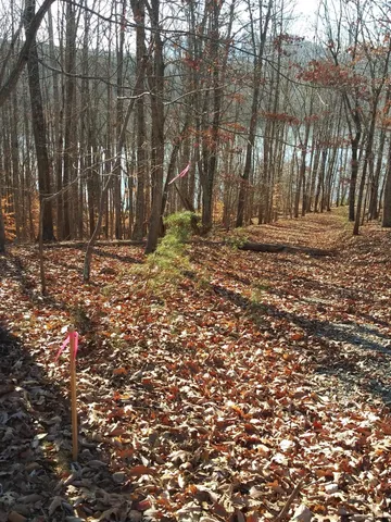 $69,900 | 7 Robin Ridge Court, Pittsville, VA 24139