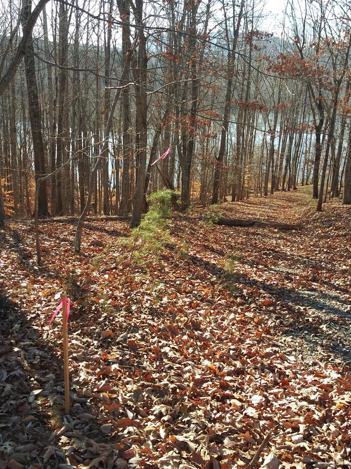 7 Robin Ridge Court Pittsville, VA 24139 - Photo 17 of 17 a backyard of a house with large trees