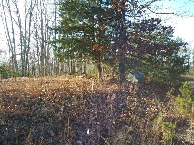 a view of a yard with trees