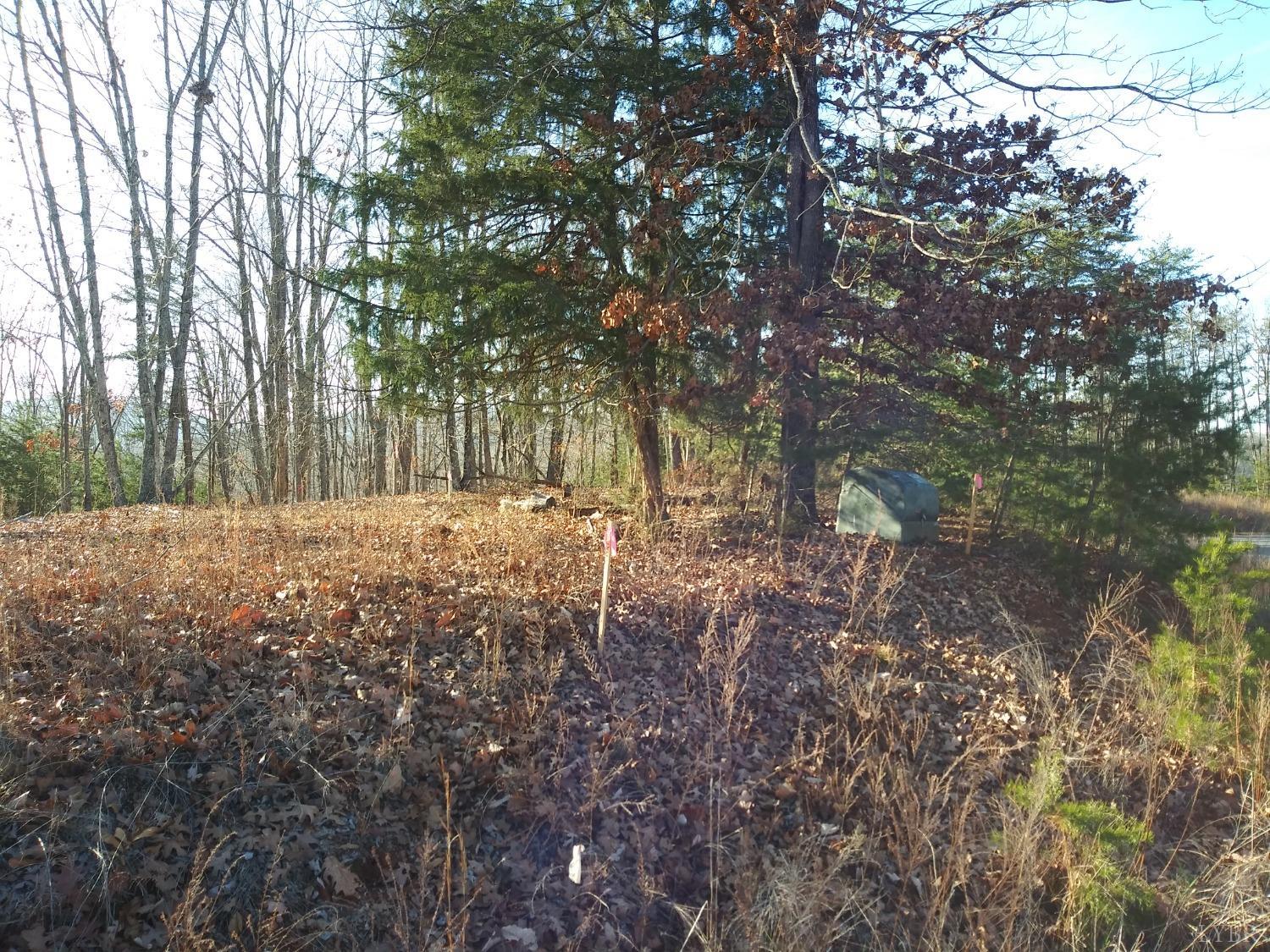 7 Robin Ridge Court Pittsville, VA 24139 - Photo 2 of 17 a view of yard covered with trees