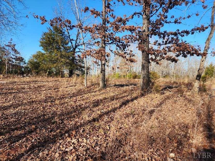 7 Robin Ridge Court Pittsville, VA 24139 - Photo 3 of 17 a view of a yard with trees