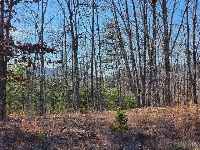 a view of outdoor space with lots of trees