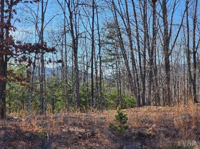 7 Robin Ridge Court Pittsville, VA 24139 - Photo 4 of 17 a backyard of a house with lots of green space