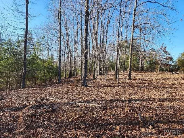 a view of a backyard of the house