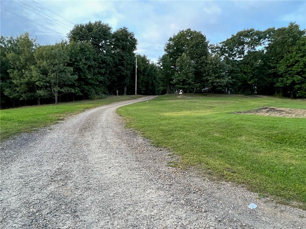 1197 Bonner Road Rossiter, PA 15772 - Photo 7 of 25 a view of a field with trees in the background