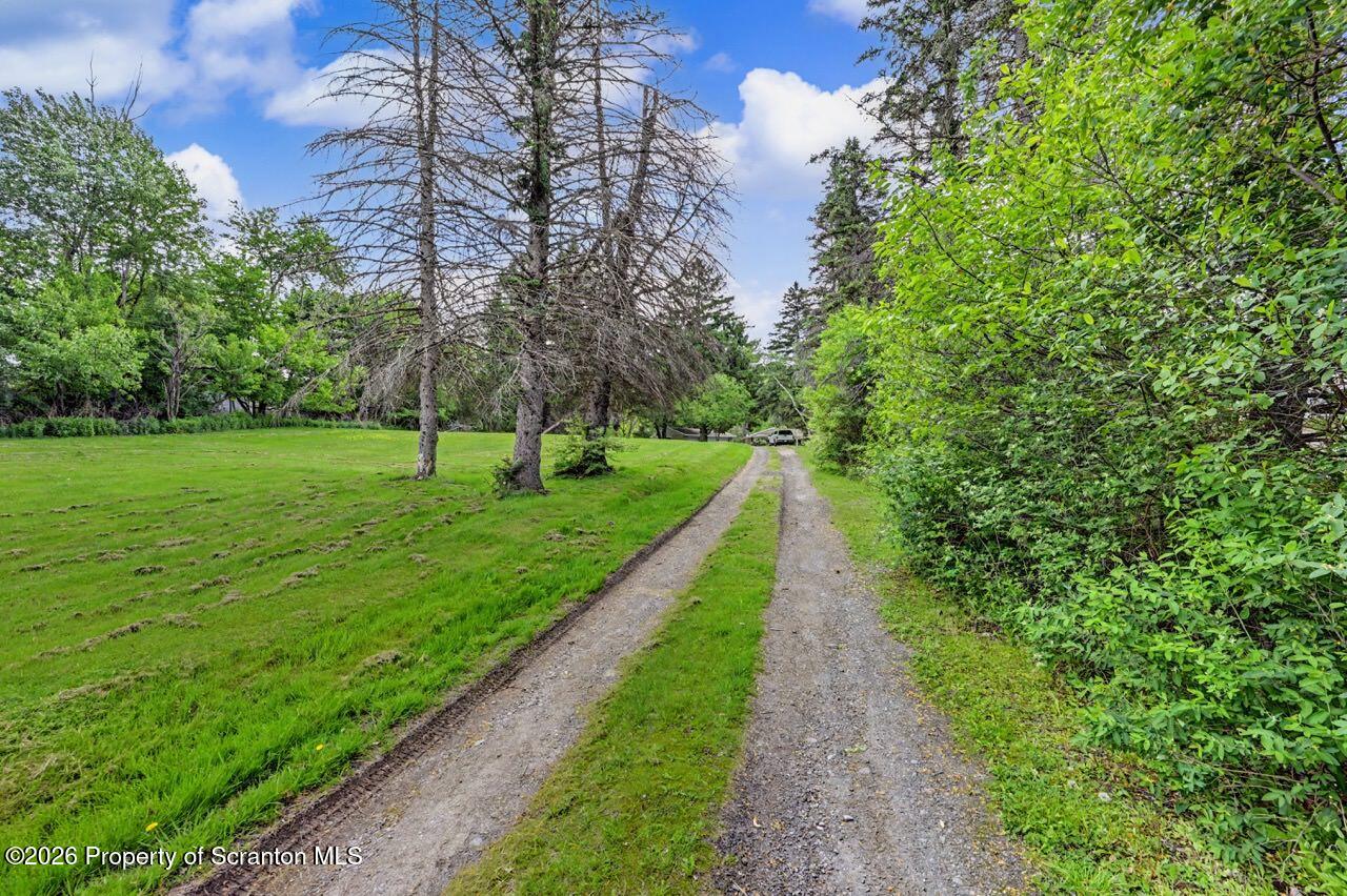 1000 Layton Road Clarks Summit, PA 18411 - Photo 53 of 55 Driveway