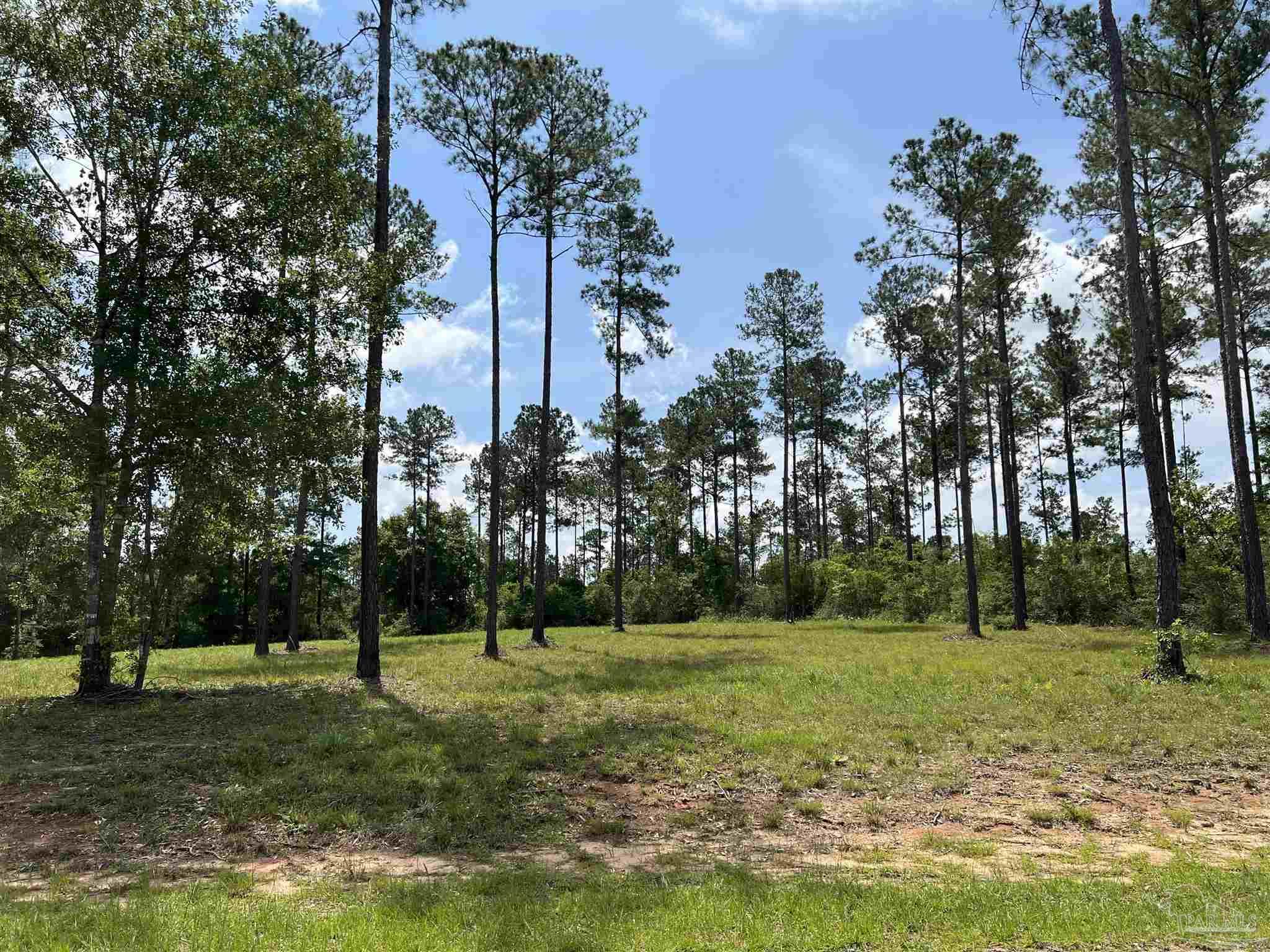 7440 Buffalo Ridge Road Pace, FL 32571 - Photo 3 of 14