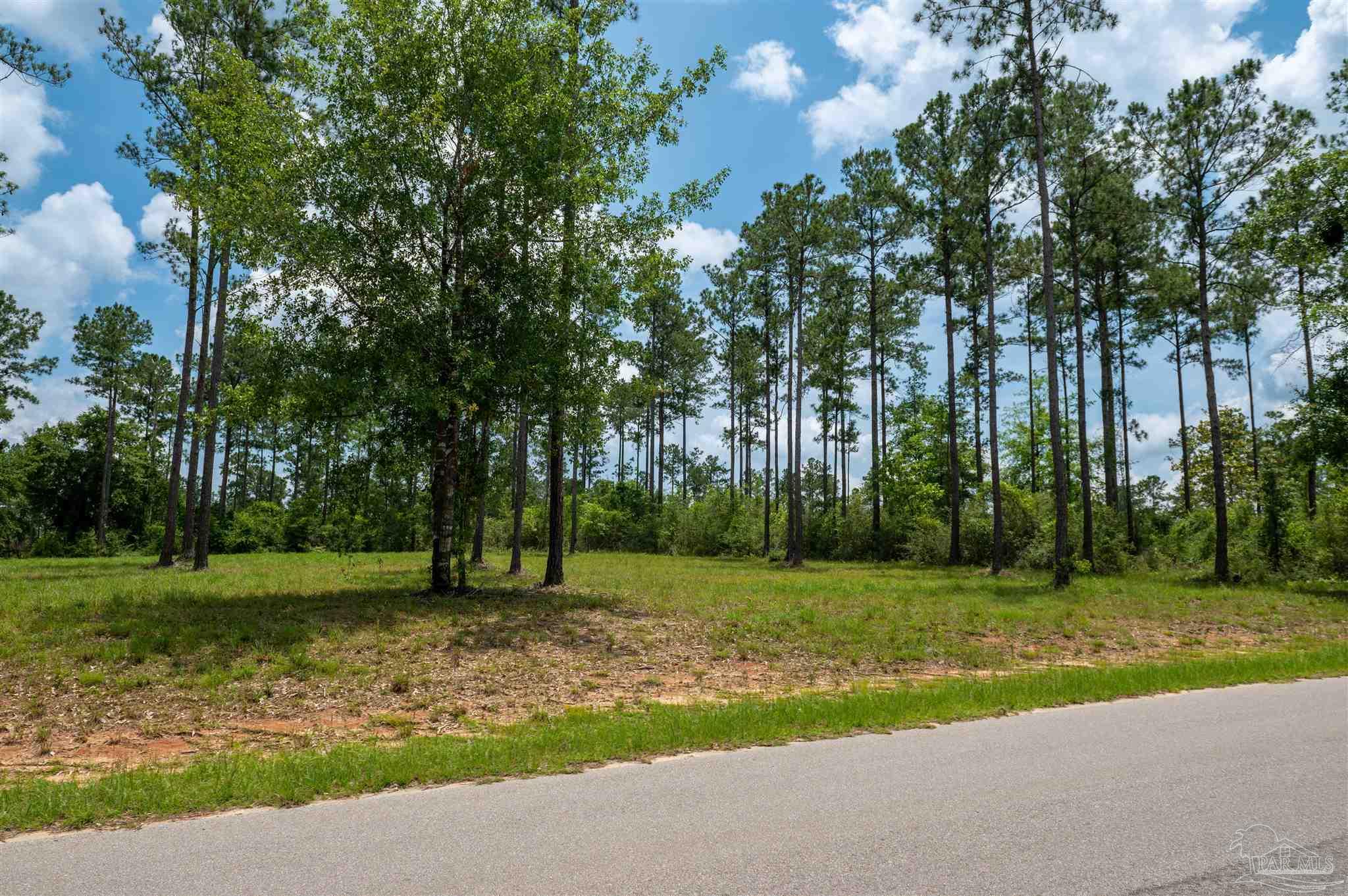 7440 Buffalo Ridge Road Pace, FL 32571 - Photo 5 of 14