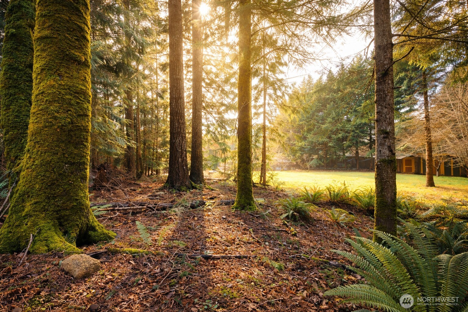 931 Turkey Road Northwest Olympia, WA 98502 - Photo 35 of 40