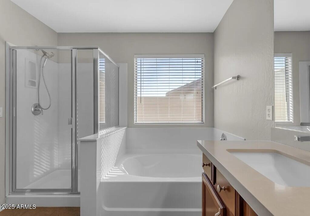 2199 West Tanner Ranch Road San Tan Valley, AZ 85144 - Photo 20 of 38 a bathroom with a tub a sink and a window