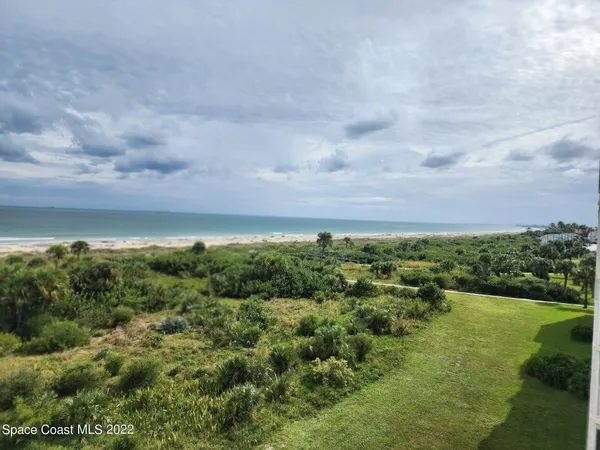 a view of a garden with an ocean