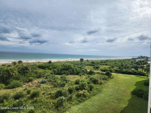a view of a garden with an ocean