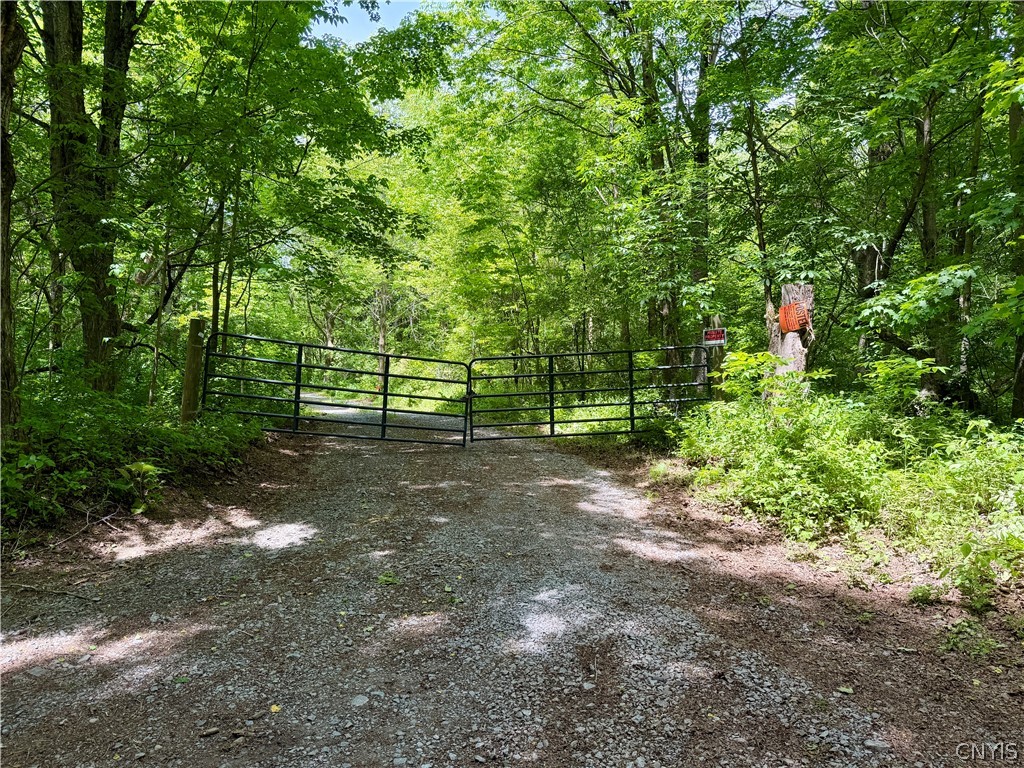 6229 Isenecker Road Leyden, NY 13309 - Photo 34 of 44 Driveway for Large Parcel