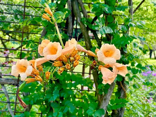 $550,000 | 1184 Il Rte 10, Monticello, IL 61856