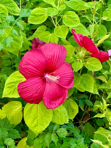 $550,000 | 1184 Il Rte 10, Monticello, IL 61856