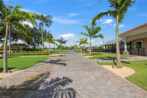 a view of a park with palm trees