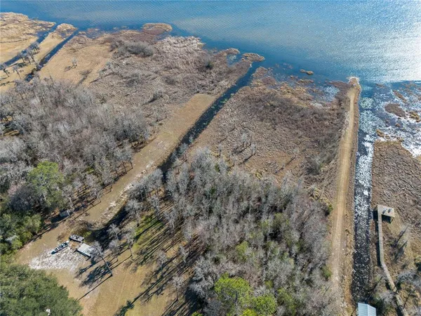 a view of a dry yard with trees