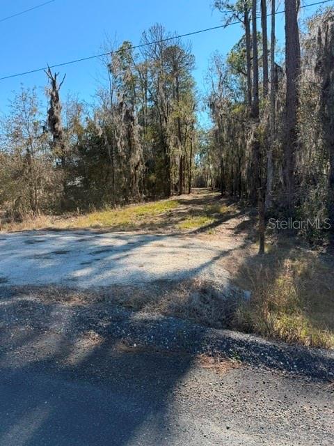 155th Way Starke, FL 32091 - Photo 19 of 29 a view of a yard with a house